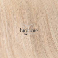 bighair extensions kleur 60