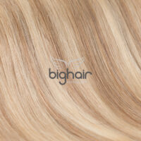 bighair extensions kleur P18-24