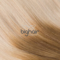 bighair extensions kleur T10-613